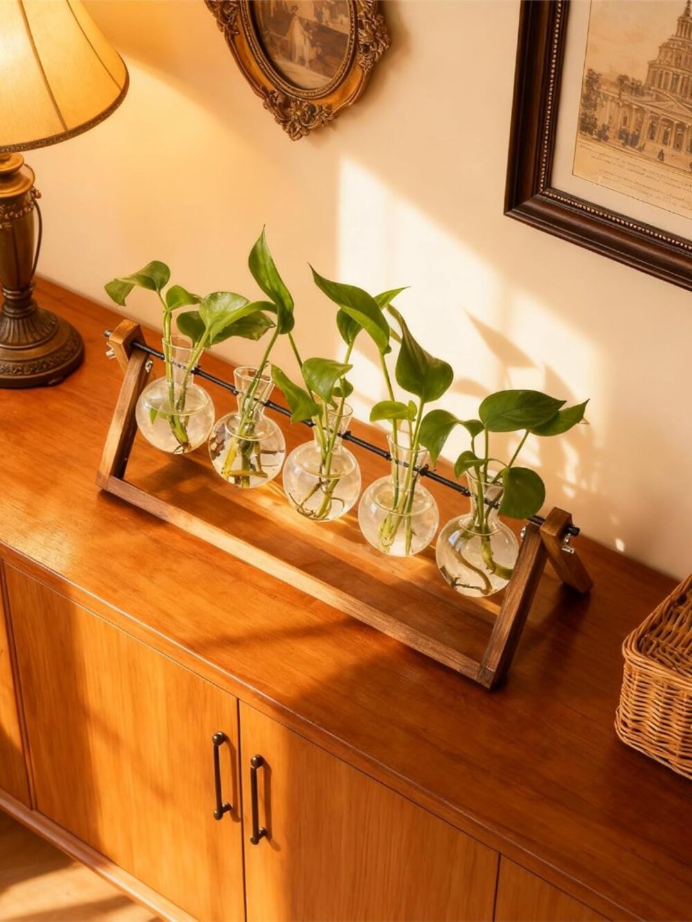 Plant Propagation Station, Propagation Vases For Plants, Unique Gardening Birthd View 6